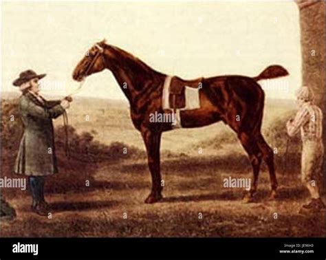 Diomed hi-res stock photography and images - Alamy