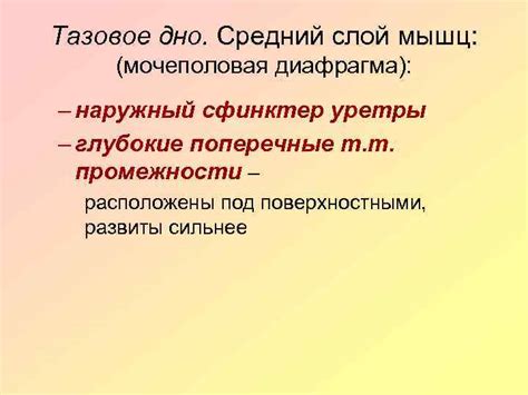 Сестринское дело в акушерстве и гинекологии Нормальная