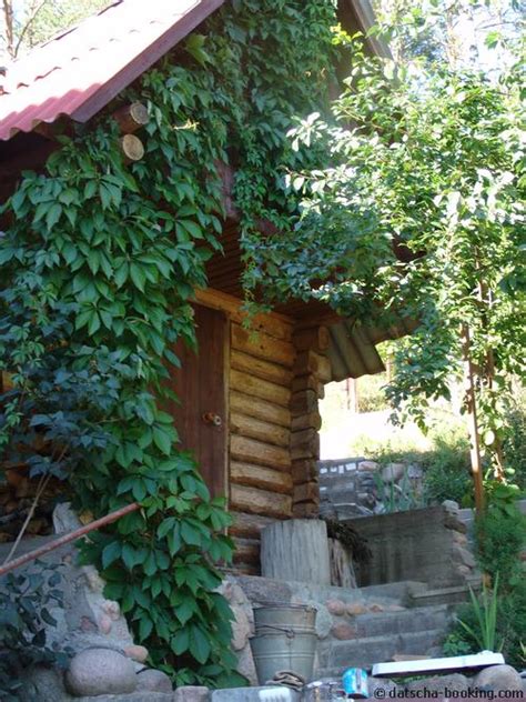 Фото дачи: баня