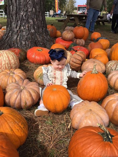 Home - Great Pumpkin Patch - Hayden AL