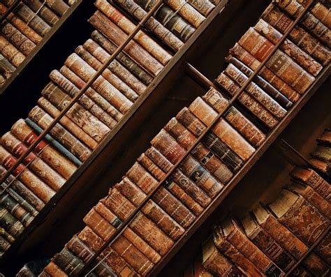 +17 Poemas de literatura (Autores reconocidos) - ¡Largos y cortos!