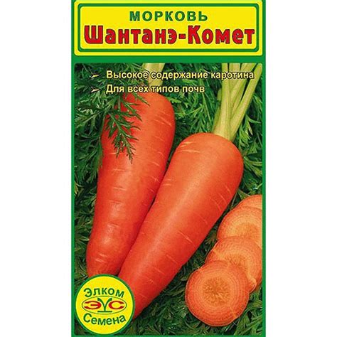 Морковь Шантанэ-Комет - голландские семена в Москве – цены ...