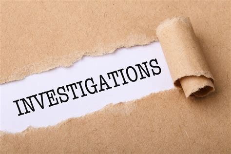 INVESTIGATIONS AND LITIGATION SERVICES SUPPORT - Delta 7 Group