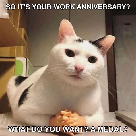 funny memes  gifs  celebrate work anniversaries