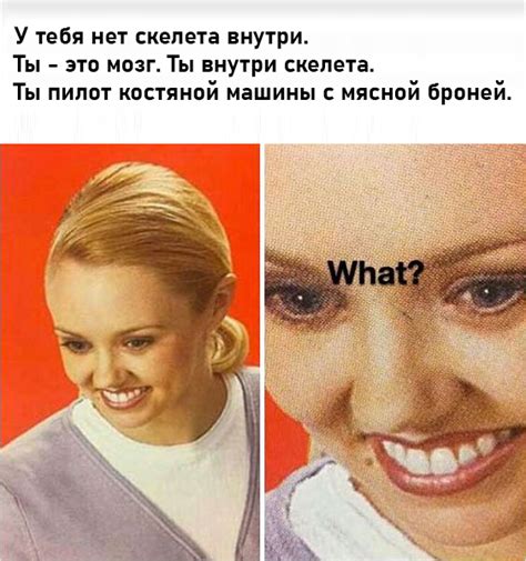 Кровяные мешки | Пикабу