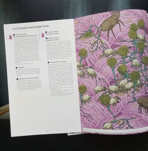 Книга: Живой мир под микроскопом - Ражкак, Лавердан. Купить книгу ...