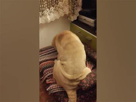 #наказание#угол - YouTube