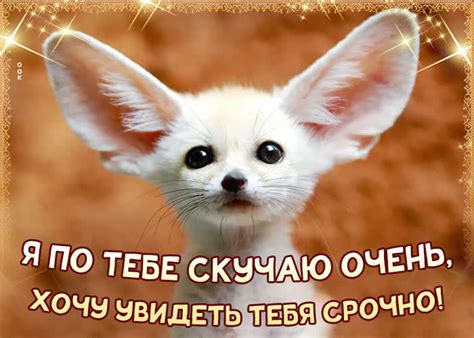 Забавная картинка скучаю - Скачать бесплатно на otkritkiok.ru