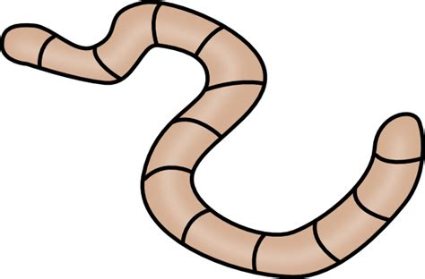 earthworm worm PNG transparent image download, size: 600x395px