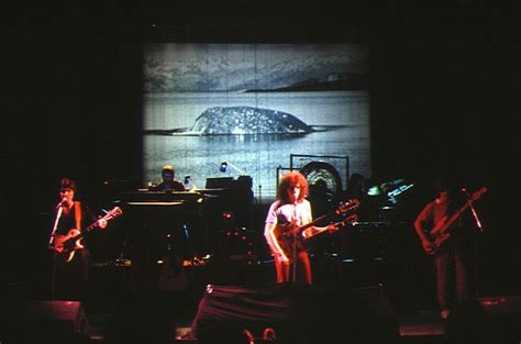 expose  artist info novalis