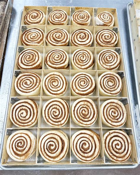 Legacy Bagels - Freshly rolled Cinnamon Rolls ready to be... | Facebook