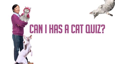 Watch Can I Has A Cat Quiz? | LOLwork Season 1 - Episode 2 Video