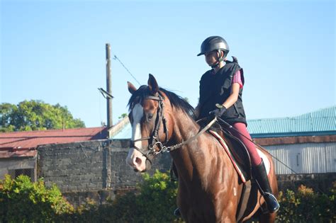 horse riding philippines  glimpse  yanas horesback riding lesson