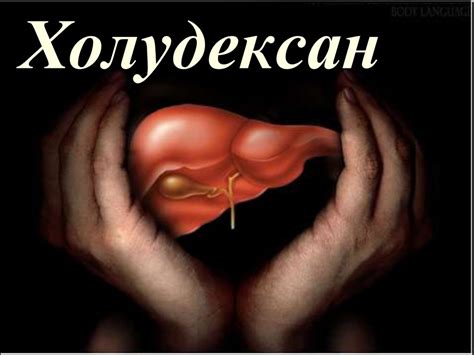 Холудексан - online presentation