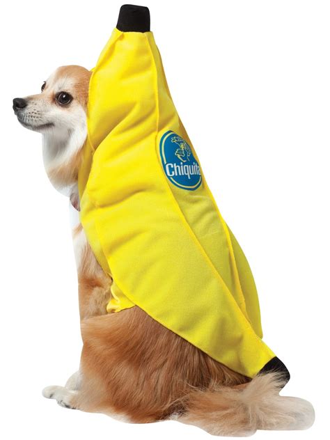 Chiquita Banana Dog Costume, Small - Walmart.com
