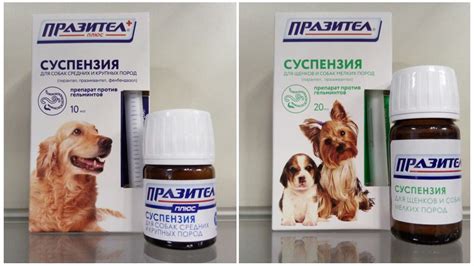 Суспензия Празител для собак и щенков мелких, средних и крупных пород
