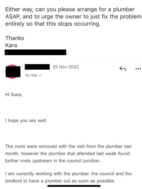 queensland renter forced pee  sink  nightmare scenario