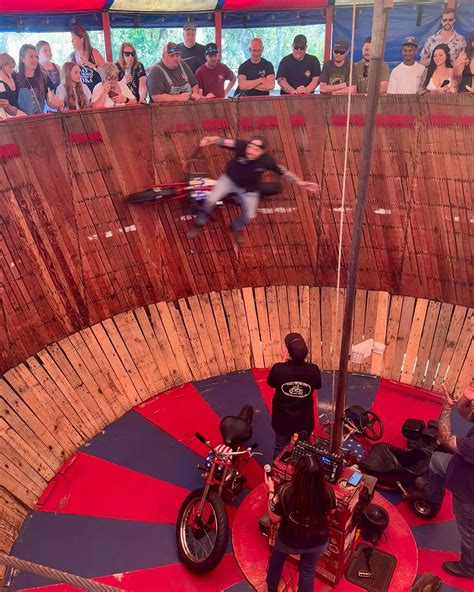 Lisa Ligon Purrfect Angelz (@purrfectangelz) • Instagram photos and videos