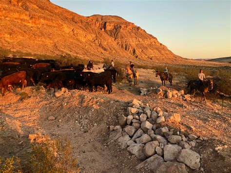 Utah farmers, ranchers try to survive drought