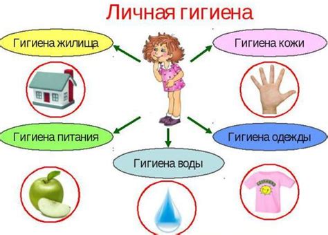 Правила личной гигиены и здоровья — Гипермаркет знаний