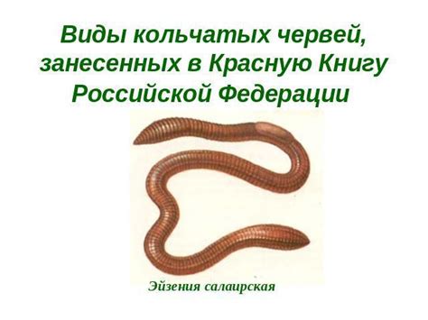 Какие черви обитают в России?