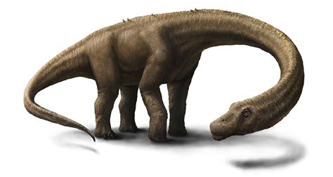 New analysis cuts massive dino’s weight in half