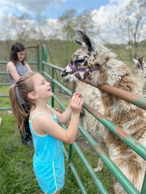 Family Fun on the Farm - GreeneScene Magazine