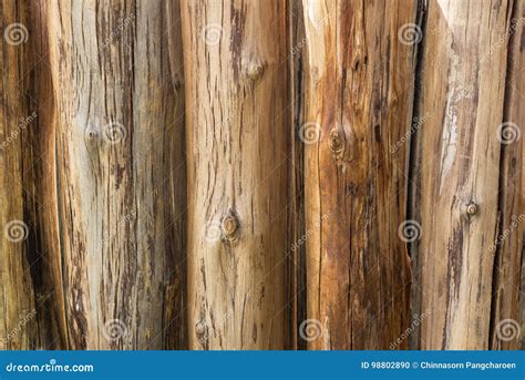 Timber texture stock photo. Image of wood, pattern, natural - 98802890