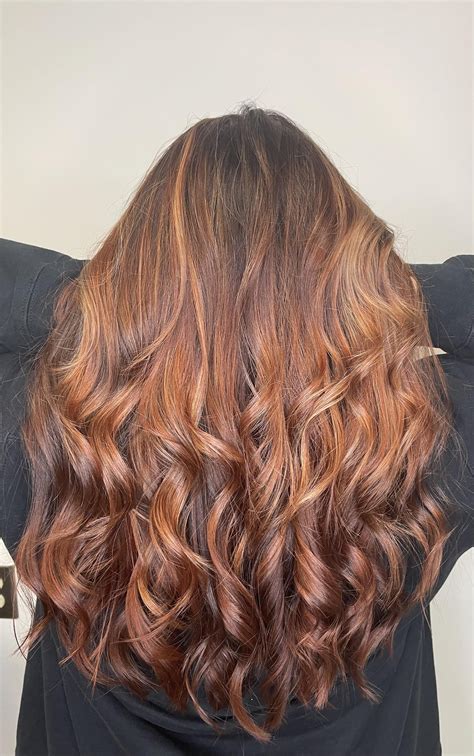 Affordable shampoo recommendations for colored hair (brown)? : r/Hair