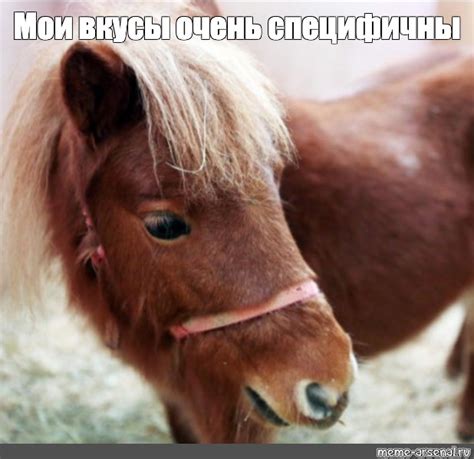 Мем: "Мои вкусы очень специфичны" - Все шаблоны - Meme-arsenal.com