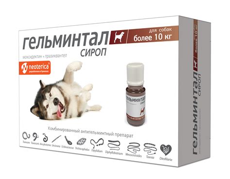 Сироп Гельминтал для собак более 10 кг товары для животных Neoterica ...