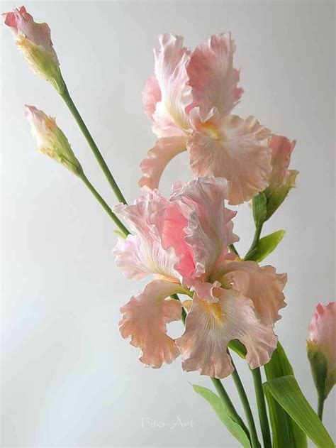 Розовые ирисы. Керамическая флористика. | Iris flowers, Flowers ...