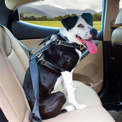 Kurgo Impact Dog Safety Harness Crash Tested - Pet Shop Direct