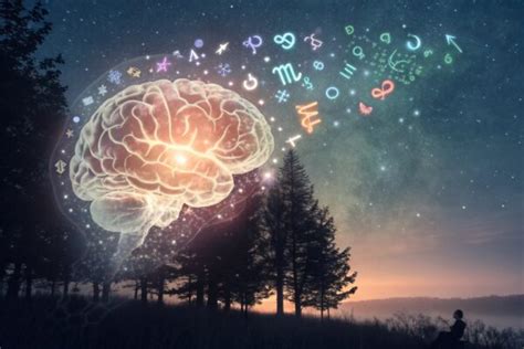 anal retentive character  simplified psychology guide
