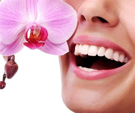 The Importance of a Good Smile - The Code of Style
