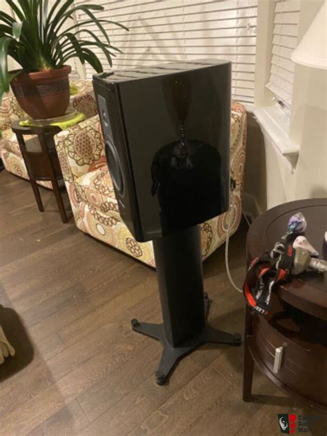 Dynaudio Contour 20 Photo #5129516 - US Audio Mart