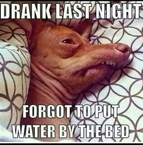Drank last night, forgot to put water by the bed | Best of funny memes