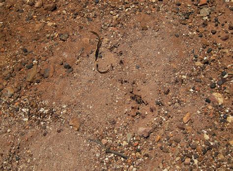 Hard Ground Surface Free Stock Photo - Public Domain Pictures