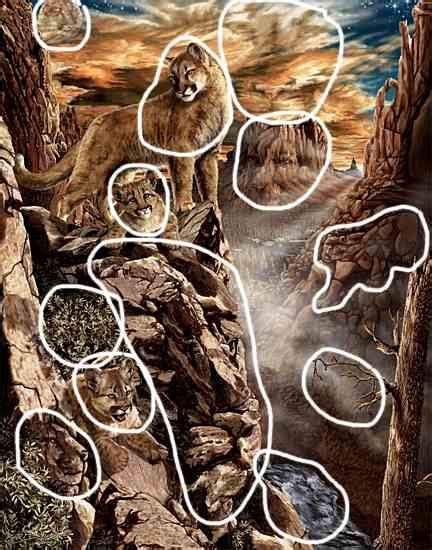 Hidden Art: Optical Illusion Painting with Animals and Rocks