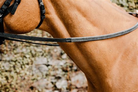 reins sturdivant obits 1