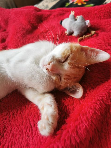 Las 5 fases del duelo (qué hacer cuando un familiar fallece