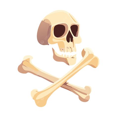 Skull Bones Vector, Skull, Bones, Skull Art PNG and Vector with