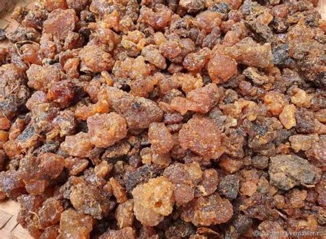 Мирра смола Сомали, Commiphora myrrha, 20 грамм в интернет-магазине ...