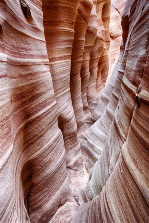 11 Incredible Escalante Hikes – Insider's Utah