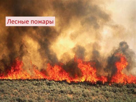 Влияние человека на живую природу в ходе истории - презентация онлайн