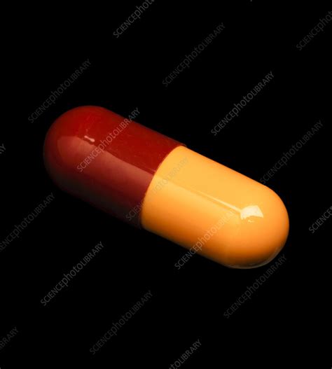 amoxicillin pill stock image  science photo library