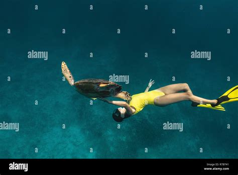 Caucasian girl swimming underwater with lovely turtle in blue sea Stock Photo - Alamy