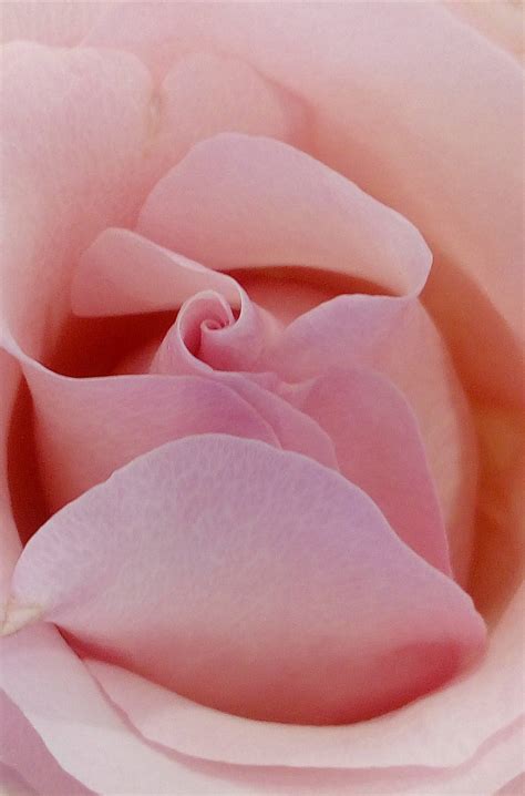 pastel phone wallpaper 7