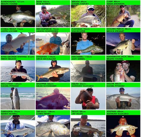 November Online Fishing Tournament | Get Fishing