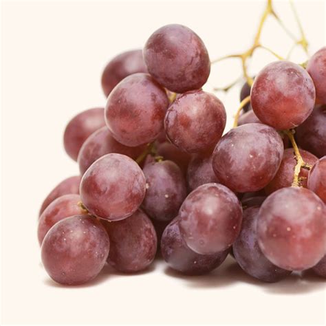 Grape – Astrid’s Fine Foods
